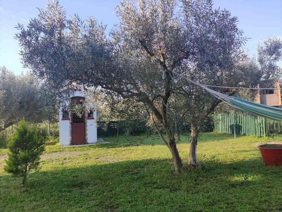 Πετρινη Κατοικια Στην Φυση Tagarades Exterior foto