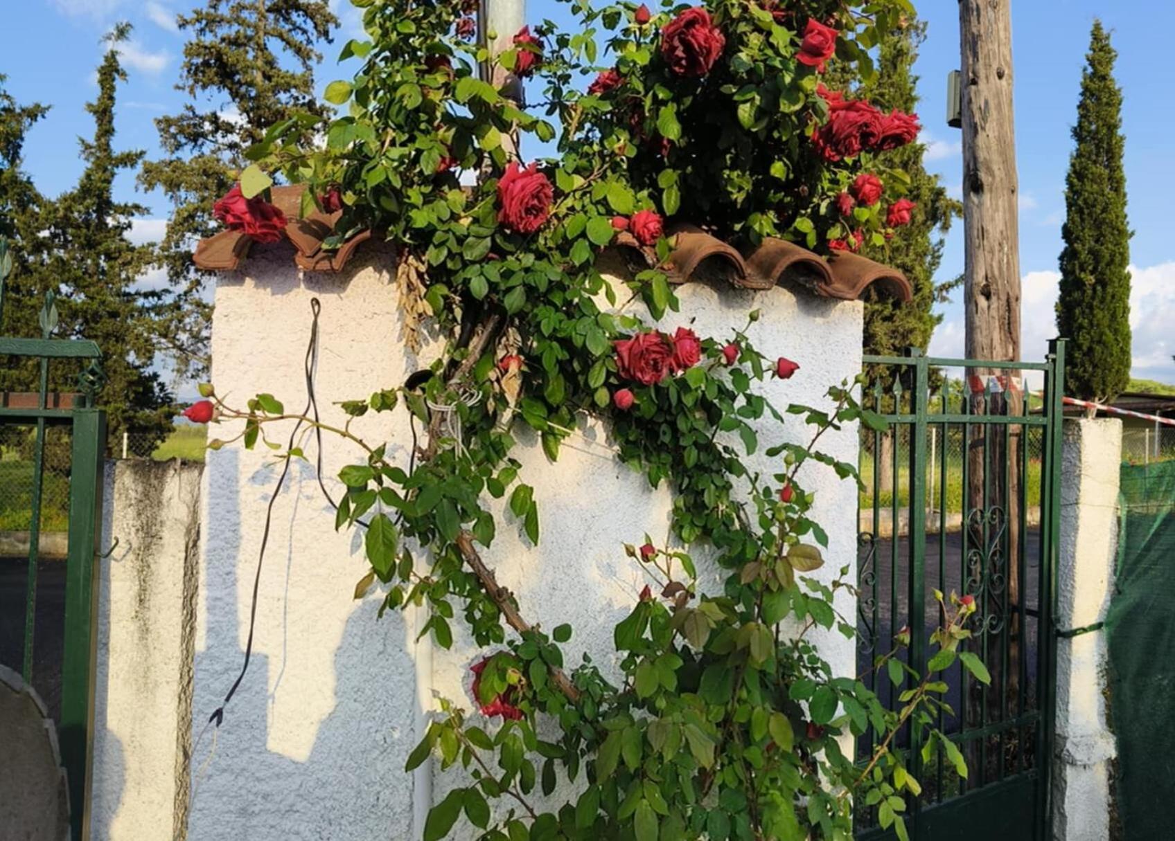 Πετρινη Κατοικια Στην Φυση Tagarades Exterior foto